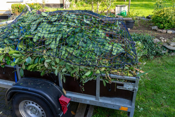 Same-Day Junk Removal Services in Fenton, MO